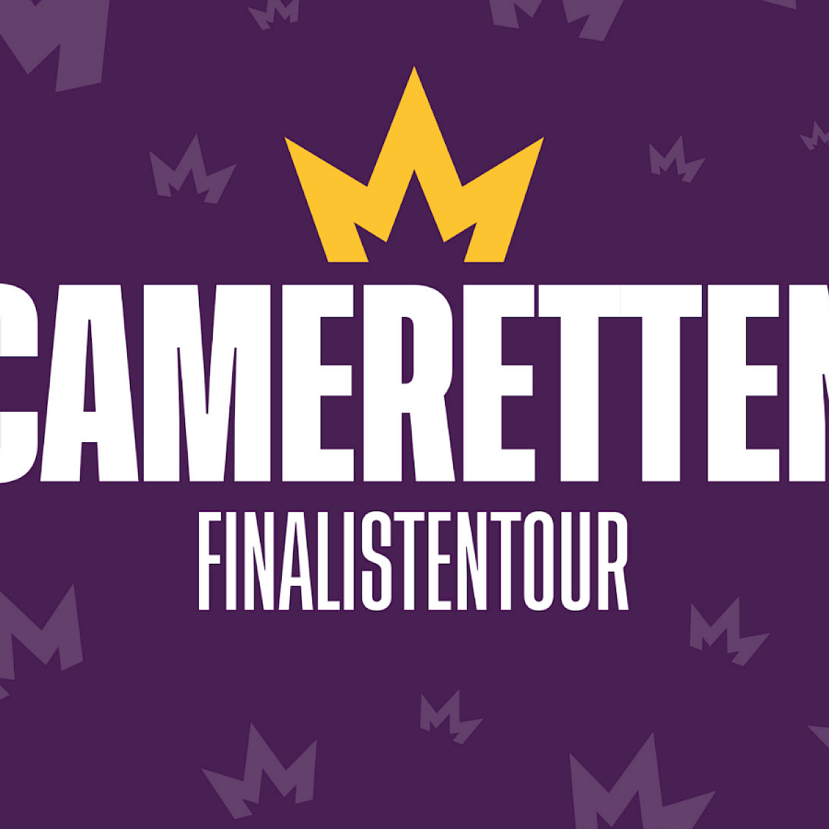 Cameretten Festival, Finalistentournee
