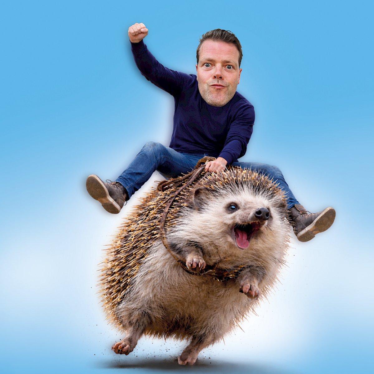 Martijn Koning, Overprikkeld