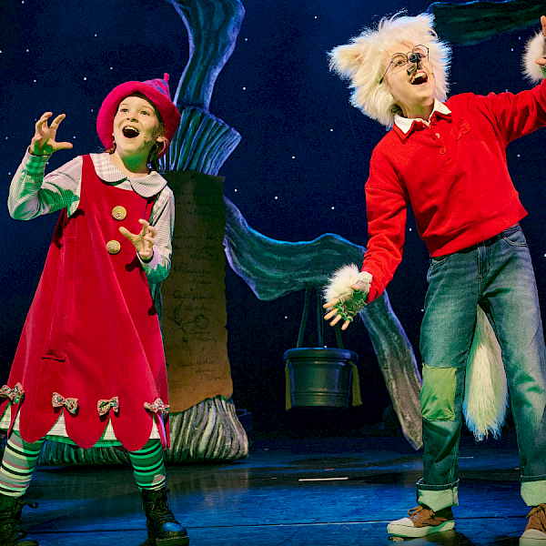 Dolfje Weerwolfje & Foeksia de Miniheks | 5+