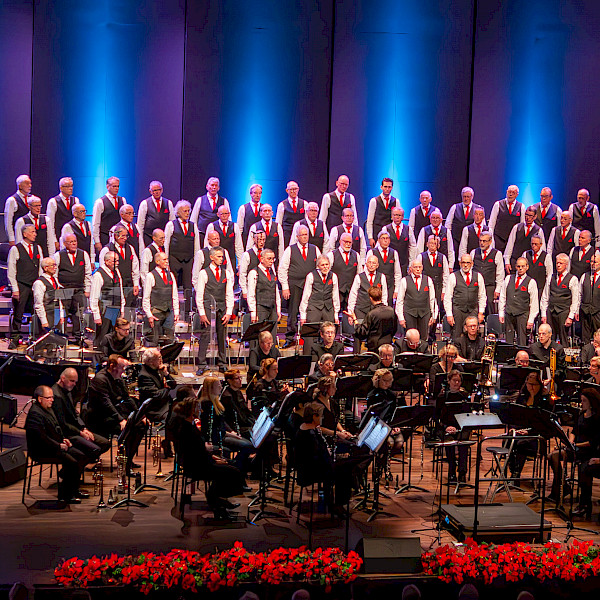 As de sterre straole