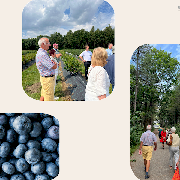 Rondleiding blauwe bessen